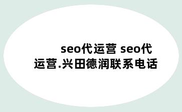 seo代运营 seo代运营.兴田德润联系电话